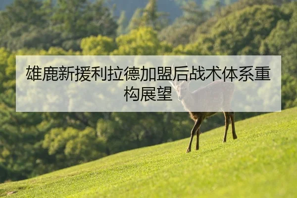雄鹿新援利拉德加盟后战术体系重构展望（PGSOFT）